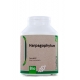 Harpagophytum - Dose