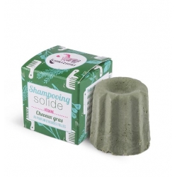 Shampoing solide herbes folles, cheveux gras