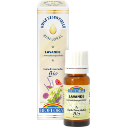 Ätherisches Lavendelöl echtes Arzneilavendel 10ml Biofloral