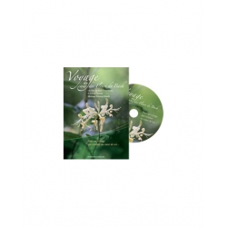 DVD "Reise zum Herzen der Bachblüten"