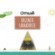 Pyramide Orgonite Labradorite - Omsaé