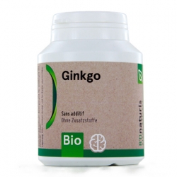 Ginkgo Bio - 250mg - 120 gélules