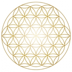 Sticker Fleur de vie 20cm – Autocollant à la géométrie sacrée