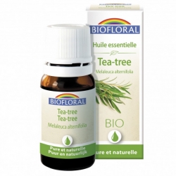 Tea Tree (arbre à thé) - Huile essentielle bio - Distillerie Bel Air