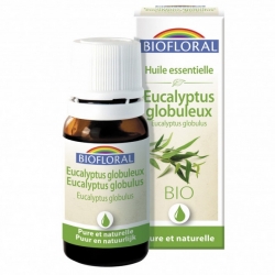 Huile Essentielle Eucalyptus Globulus Bio 10ml