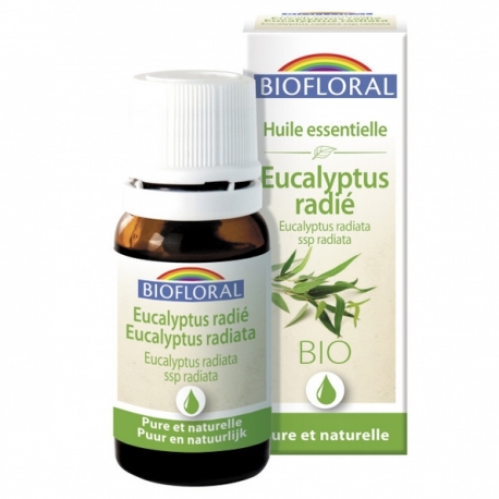 Ätherisches Öl Eukalyptus Radiata (New)