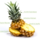 Bromélaïne pure - Ananas