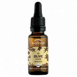 Bio Bach Blüten - Olive (Olivenbaum) 23 - Vitalität, Lebensfreude