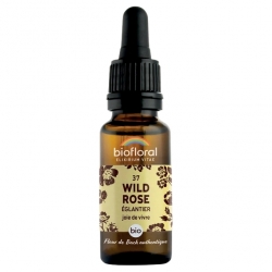 Bio Bach Blüten - Wild Rose (Hagebutte) 37 - Vitalität, Lebensfreude